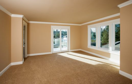 Picture of carpet cleaning